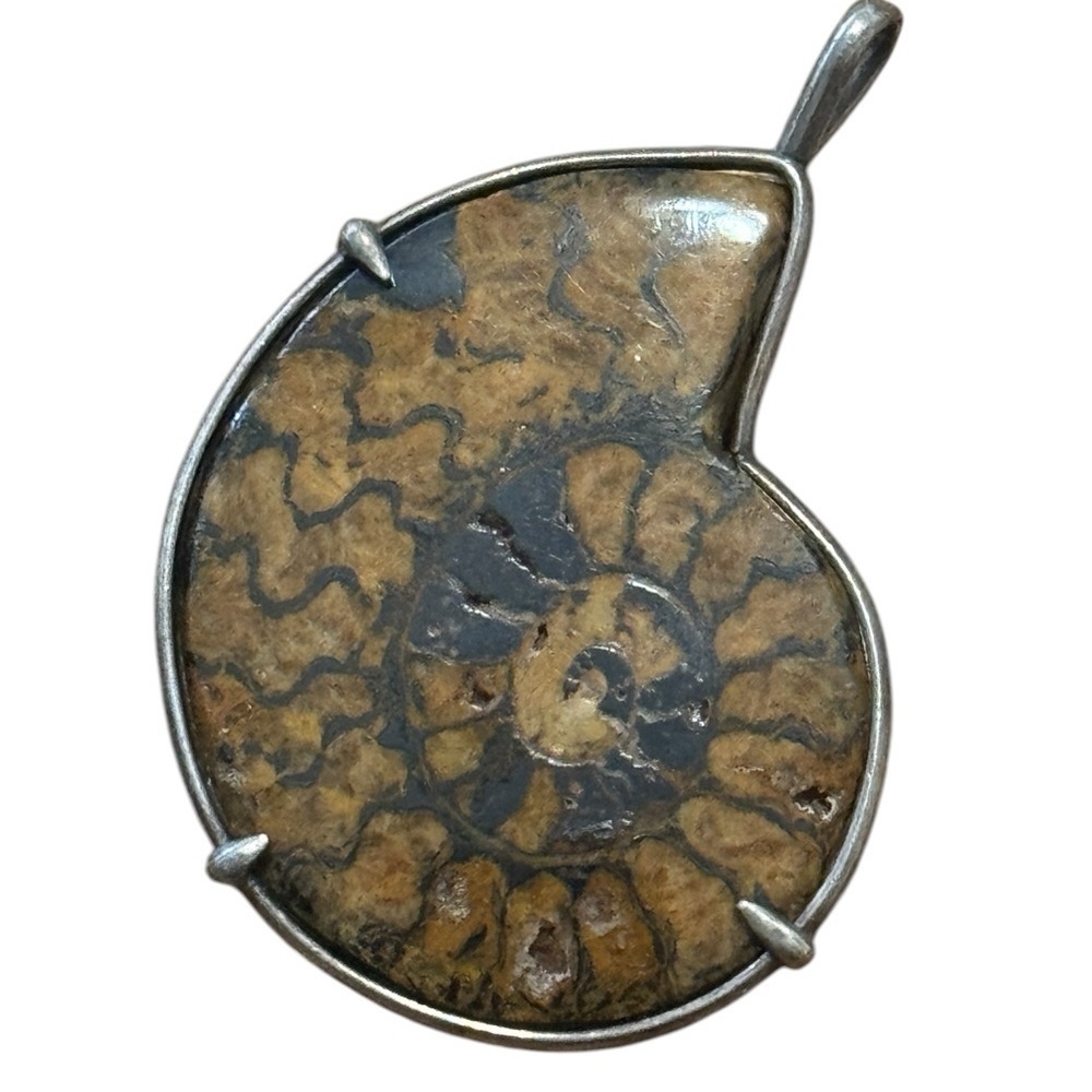 Vintage Ammonite Fossil Pendant No Necklace Brown Silver Jewelry Stone